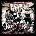 Rebels on the Run