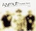 AZYMUTH, Partido Novo, 発売中