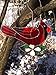 Sunlit Gifts Plant Hanger / Bird Feeder Hook (10-inch Cardinal) - Beautiful Hand Made Stained Glass (with Metal S Hooks) - Ornament Hangers for Hanging Planters, Flower Baskets, Bird Feeders & Houses