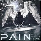 Nothing Remains the Same by Pain