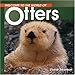 Welcome to the World of Otters (Welcome to the World Series)