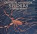 Outside and Inside Spiders