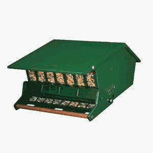 Childrens Toyshop  Outdoor Living : Birds Buffet Squirrel Proof Bird Feeder - Up to 10 lb.