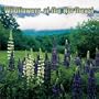 Wildflowers of the Northeast: 2003