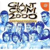 GIANT GRAM2000全日本プロレス3