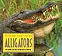 Outside And Inside Alligators