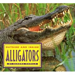 Outside and inside Alligators