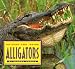 Outside And Inside Alligators (Outside Inside)
