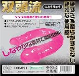 双頭流-にとうりゅう-