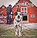 2016 Cow Dogs Wall Calendar