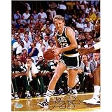 Larry Bird Boston Celtics - Green/Action1 - 8x10 Autographed Photograph