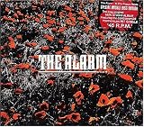 In the Poppy Fields