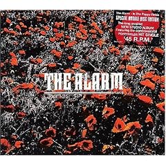 In the Poppy Fields