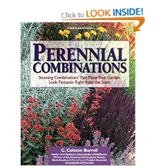 Perennial Combinations: Stunning Combinations That Make Your Garden Look Fantastic Right From The Start