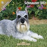 Schnauzer (US) 2011 Wall Calendar #10067-11