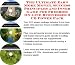 The Fantastic Generate Extra Cash, Marketing and Inner Game for Freebies Businesses 3 CD Combo Pack by Mark Z Anderson