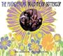 Build Me Up Buttercup: Complete Pye Collection