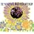 Build Me Up Buttercup: The Complete Pye Collection