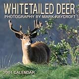 White-Tailed Deer 2001 Calendar