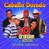 20 Grandes Exitos