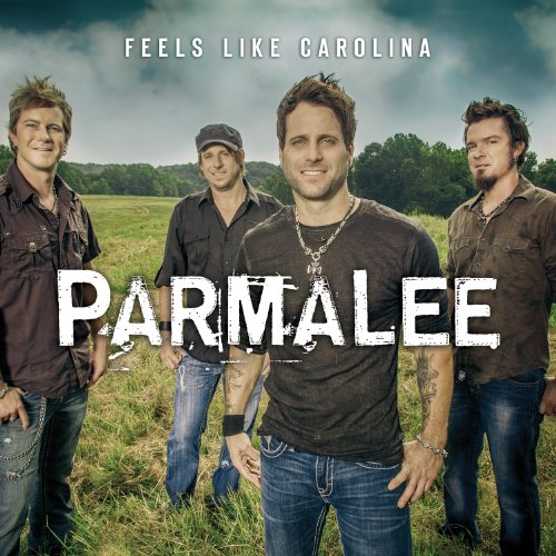 Parmalee - Carolina [SBI Karaoke] Lyrics - Zortam Music