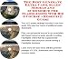 Book The Best Generate Extra Cash, Sales Models and eCommerce for Flashlights Web Biz 3 Course + Resource Guide