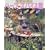�n�[�u�X�p�C�X�ف\Herb & spice book (���w�َ��p�V���[�Y)