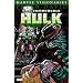 Hulk Visionaries - Peter David 7