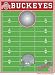 Ohio State Buckeyes NCAA Football Field Bean Bag Toss Game