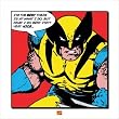 Pyramid International Wolverine (I'm The Best)  40X40