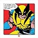 Wolverine - Comic Poster / Art Print (I'm The Best) (Size: 16" x 16")