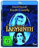 Die Reise ins Labyrinth [Blu-ray]