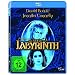Die Reise ins Labyrinth [Blu-ray]