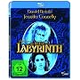 Die Reise ins Labyrinth [Blu-ray]