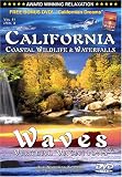 DVD : CALIFORNIA: Coastal Wildlife & Waterfalls DVD / WAVES: Virtual Vacations (+Vol 3 FREE Bonus DVD)
