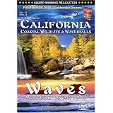 CALIFORNIA: Coastal Wildlife & Waterfalls DVD / WAVES: Virtual Vacations + Vol 3 Californian Dreams (SIDE 2) DVD - COMBO