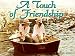 Book A Touch of Friendship
