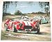 Racing In The USA Tapestry Wall Hanging Image