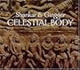 Celestial Body