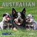 Australian Cattle Dogs 2001 Calendar