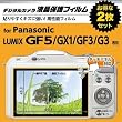 HAKUBA Amazon �t���ی�t�B���� �y���S�֗���2���g�݁z Panasonic GF-5��p AMDGF-PGF5