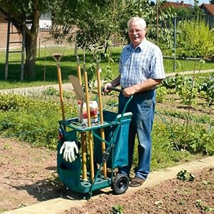 Profi Gartenwagen: Amazon.de: Garten