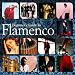 Beginners Guide To Flamenco