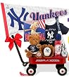 NY Yankees Baseball Boy Radio Flyer Baby Wagon and Little Big Book of Basebal...