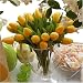Leonardo textile Tulpe gelb