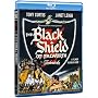 The Black Shield of Falworth [Blu-ray]