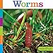 Worms (Seedlings)