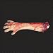 Don Post Human Right Arm Halloween Prop (B798)