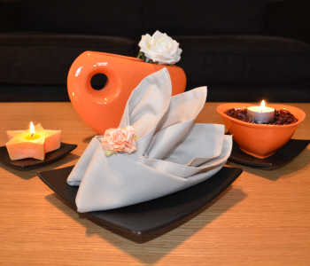 How to fold a napkin ?