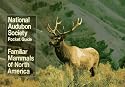 National Audubon Society Pocket Guide to Familiar Mammals (Audubon Society Pocket Guides)